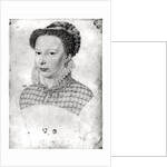 Marguerite of Valois 1568 by Francois Clouet