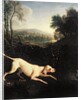Louis XIV's Dog, Tane by Alexandre-Francois Desportes