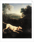 Louis XIV's Dog, Tane by Alexandre-Francois Desportes