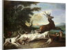 The Deer Hunt, 1718 by Alexandre-Francois Desportes