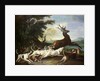 The Deer Hunt, 1718 by Alexandre-Francois Desportes