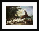 The Deer Hunt, 1718 by Alexandre-Francois Desportes