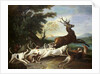 The Deer Hunt, 1718 by Alexandre-Francois Desportes
