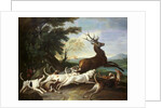 The Deer Hunt, 1718 by Alexandre-Francois Desportes