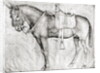 Mule by Antonio Pisanello