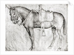 Mule by Antonio Pisanello