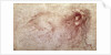 Sketch of a roaring lion by Leonardo da Vinci