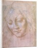 Head of a woman by Leonardo da Vinci