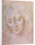 Head of a woman by Leonardo da Vinci