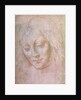 Head of a woman by Leonardo da Vinci