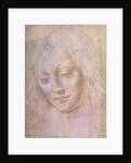Head of a woman by Leonardo da Vinci