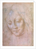 Head of a woman by Leonardo da Vinci