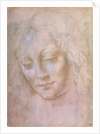 Head of a woman by Leonardo da Vinci