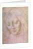 Head of a woman by Leonardo da Vinci