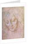 Head of a woman by Leonardo da Vinci