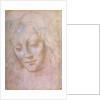 Head of a woman by Leonardo da Vinci
