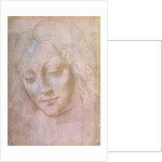 Head of a woman by Leonardo da Vinci