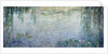 Waterlilies: Morning with Weeping Willows, 1915-26 by Claude Monet