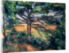 The Large Pine, 1895-97 by Paul Cezanne