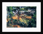 The Large Pine, 1895-97 by Paul Cezanne