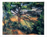 The Large Pine, 1895-97 by Paul Cezanne