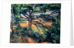 The Large Pine, 1895-97 by Paul Cezanne