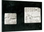 Two decorated seals depicting a zebu and a bull, from Mohenjodaro, Protohistoric by Harappan Harappan