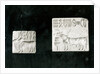 Two decorated seals depicting a zebu and a bull, from Mohenjodaro, Protohistoric by Harappan Harappan
