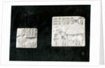 Two decorated seals depicting a zebu and a bull, from Mohenjodaro, Protohistoric by Harappan Harappan