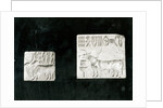 Two decorated seals depicting a zebu and a bull, from Mohenjodaro, Protohistoric by Harappan Harappan