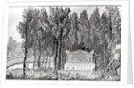 Jean-Jacques Rousseau's tomb at Ermenonville by Savigny Savigny