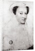 Mary, Queen of Scots in white mourning, 1560 by Francois Clouet