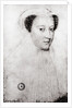 Mary, Queen of Scots in white mourning, 1560 by Francois Clouet