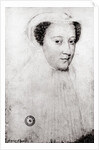 Mary, Queen of Scots in white mourning, 1560 by Francois Clouet