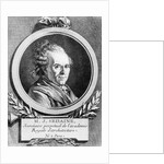 Portrait of Michel-Jean Sedaine by Jacques Louis David
