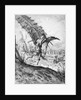 Don Quixote and the Windmills by Gustave (after) Dore