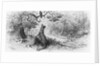 The Crow and the Fox by Gustave Dore