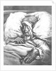 Don Quixote wounded by Gustave Dore