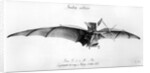 Avion III, 'The Bat' by French School