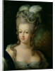 Portrait of Marie-Antoinette de Habsbourg-Lorraine by French School