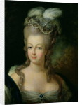 Portrait of Marie-Antoinette de Habsbourg-Lorraine by French School