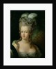Portrait of Marie-Antoinette de Habsbourg-Lorraine by French School