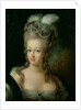 Portrait of Marie-Antoinette de Habsbourg-Lorraine by French School