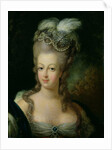 Portrait of Marie-Antoinette de Habsbourg-Lorraine by French School
