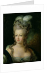 Portrait of Marie-Antoinette de Habsbourg-Lorraine by French School