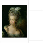 Portrait of Marie-Antoinette de Habsbourg-Lorraine by French School