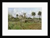 Landscape, Louveciennes, c.1872 by Camille Pissarro