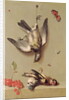 Still Life of Dead Birds and Cherries, 1712 by Jean-Baptiste Oudry