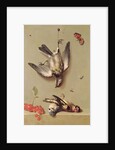 Still Life of Dead Birds and Cherries, 1712 by Jean-Baptiste Oudry