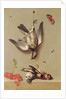 Still Life of Dead Birds and Cherries, 1712 by Jean-Baptiste Oudry